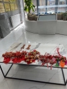 &#29615;&#29699;&#40;&#20013;&#22269;&#41;&#20307;&#32946;&#23448;&#26041;&#32593;&#31449;