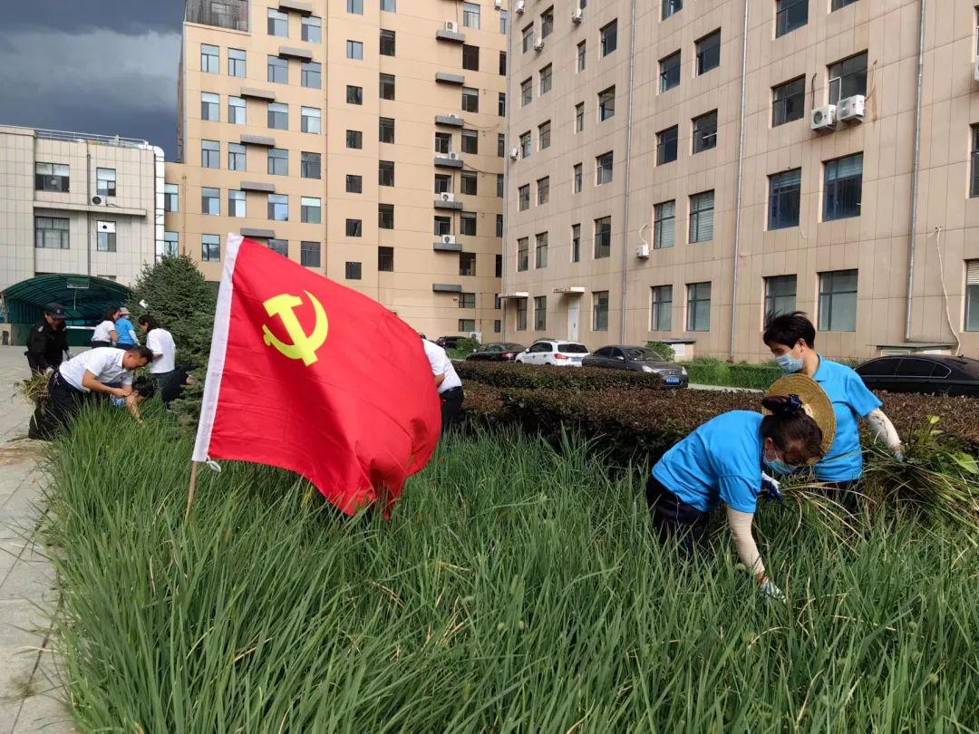 &#29615;&#29699;&#40;&#20013;&#22269;&#41;&#20307;&#32946;&#23448;&#26041;&#32593;&#31449;