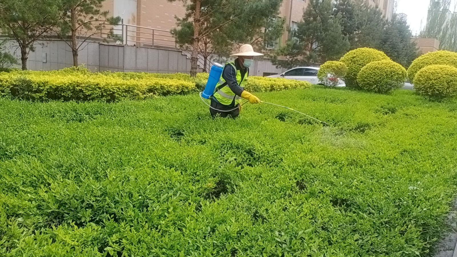 &#29615;&#29699;&#40;&#20013;&#22269;&#41;&#20307;&#32946;&#23448;&#26041;&#32593;&#31449;